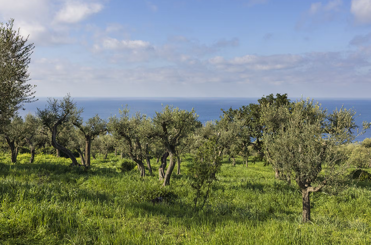 Presentato il programma delle Giornate FAI d’Autunno 2023 in Campania. Ad Anacapri tour alla scoperta della Tenuta Pino de’ Monaci