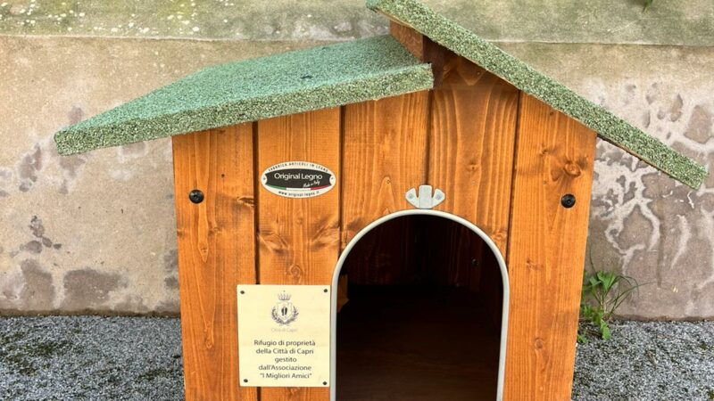 Casette-rifugio per gatti posizionate in varie zone di Capri