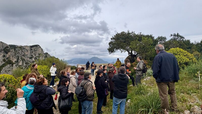 Capri Spring Festival: passeggiata con foraging di erbe tra i sentieri dell’isola