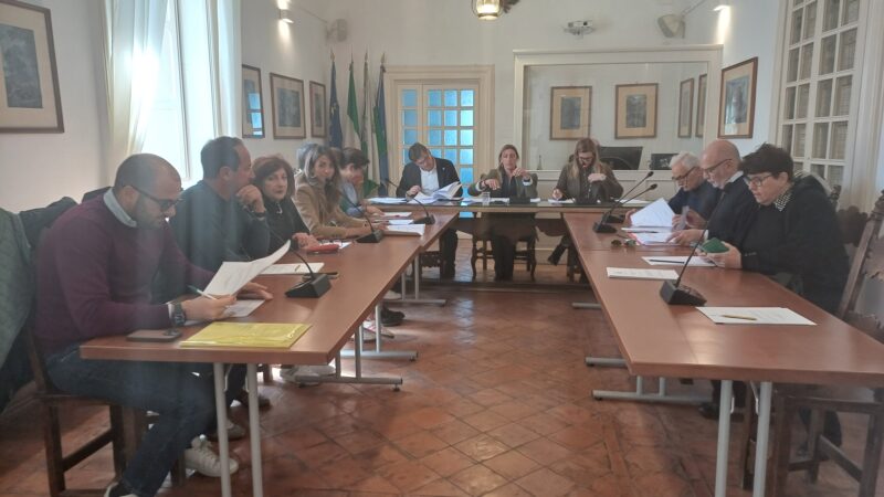 Approvata dal Consiglio Comunale la nuova disciplina sulle courtesy car in vigore dall’1 giugno. Qui il regolamento integrale in pdf