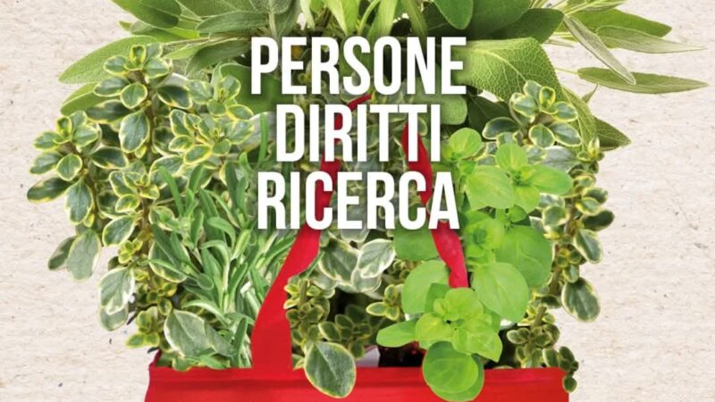 Sclerosi multipla: tornano nelle piazze di Capri e Anacapri le erbe aromatiche di Aism per sostenere la ricerca