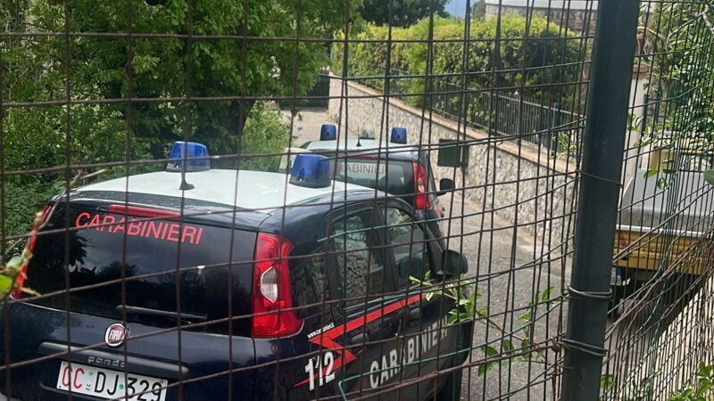 Trovato ad Anacapri in un vallone il corpo senza vita di Daniele Vuotto