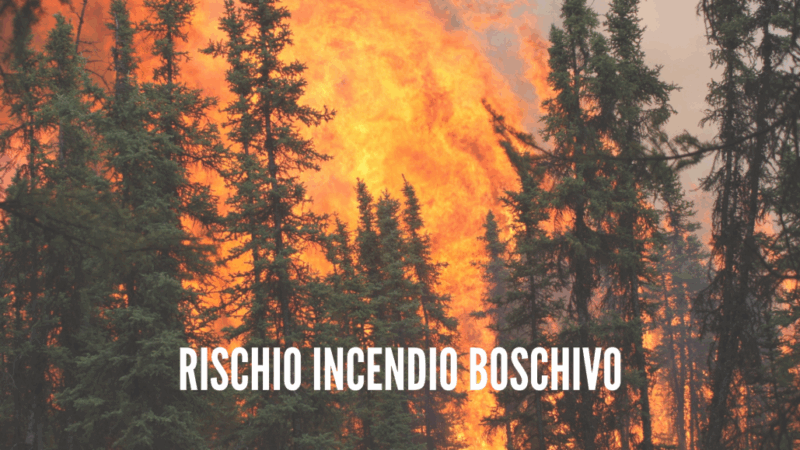 Protezione Civile: entra in vigore il periodo di grave pericolosità per gli incendi boschivi in Campania e scattano cinque divieti