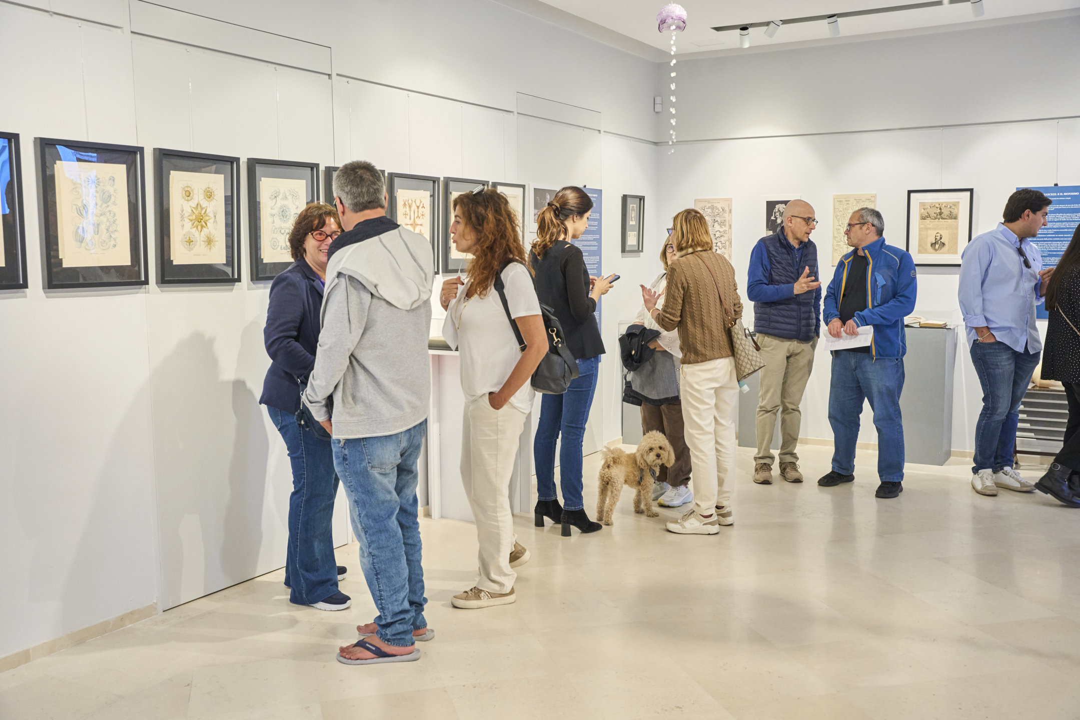 “Haeckel e Capri. Forme artistiche del mare”: al via ciclo di conferenze in tre incontri