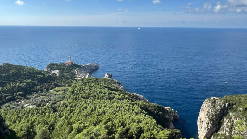 L’Oro di Capri celebra l’olivicoltura dell’isola: un fine settimana tra ricerca scientifica e la camminata tra gli olivi ad Anacapri