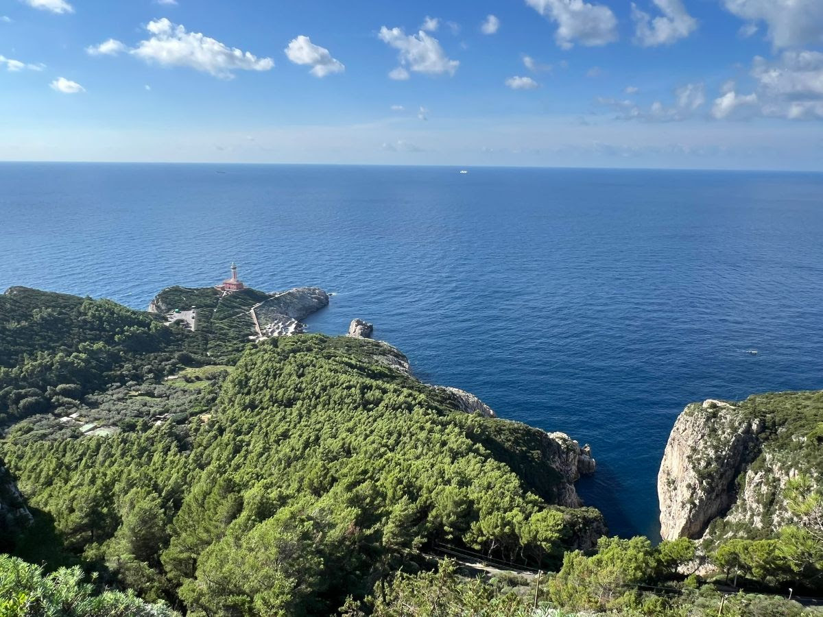 L’Oro di Capri celebra l’olivicoltura dell’isola: un fine settimana tra ricerca scientifica e la camminata tra gli olivi ad Anacapri