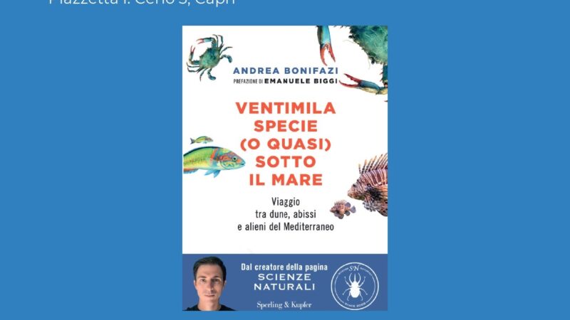 Mattinata all’insegna della biologia marina al Centro Caprense Ignazio Cerio